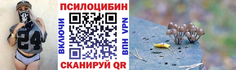 Галлюциногенные грибы мицелий  дарнет шоп  OMG tor  Городище 